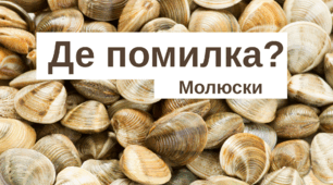 Де помилка? Молюски