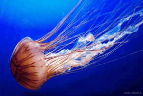 0800b80r-382a-291x195.png