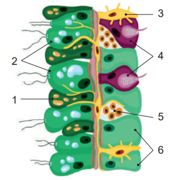 0800b8kw-0130-366x371.png