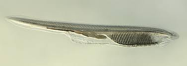 0800b97a-6cf6-380x135.jpg