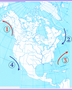 0800bbc1-2e4a-301x379.png