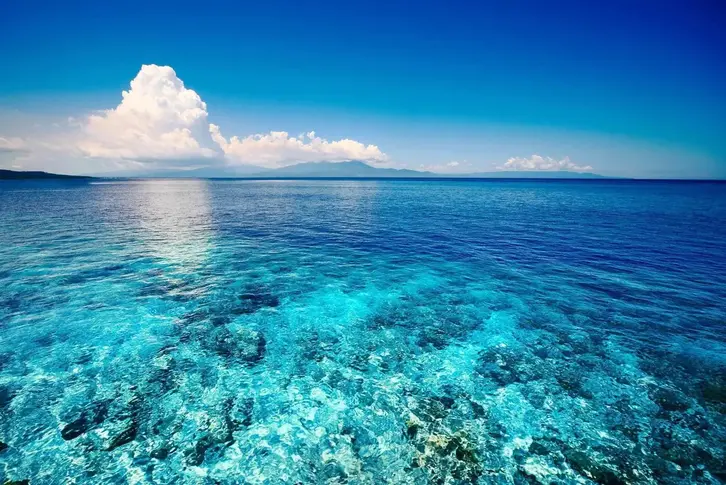 0800bdmq-00d7-726x485.webp