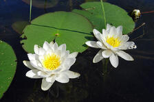 0800bds3-f4fe-940x628.jpg