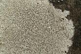 0800bea5-5df0-166x110.jpg