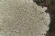 0800bf01-d105-186x124.jpg
