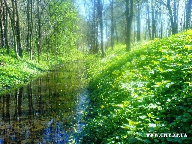 0800bfyg-5f6b-640x480.jpg