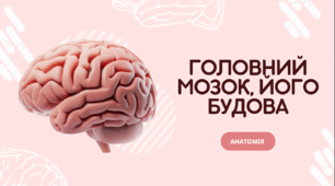 Головний мозок, його будова