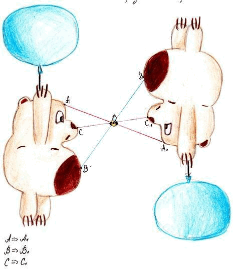 0800blwr-3853-481x549.png