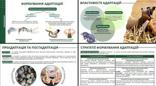 Адаптація як загальна властивість біологічних систем. Властивості та формування адаптацій. Принцип єдності організмів та середовища мешкання. Поняття про преадаптацію та постадаптацію. Стратегії адаптацій організмів.