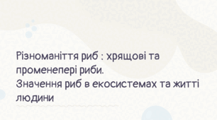 Презентація НУШ 7 клас "Різноманіття риб  хрящові та променепері риби. Значення риб в екосистемах та житті людини"