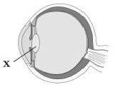 0800bp4y-2915-161x129.jpg