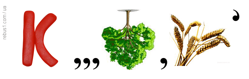 0800brxw-ba96-811x260.png