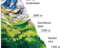 Умови життя в горах.
