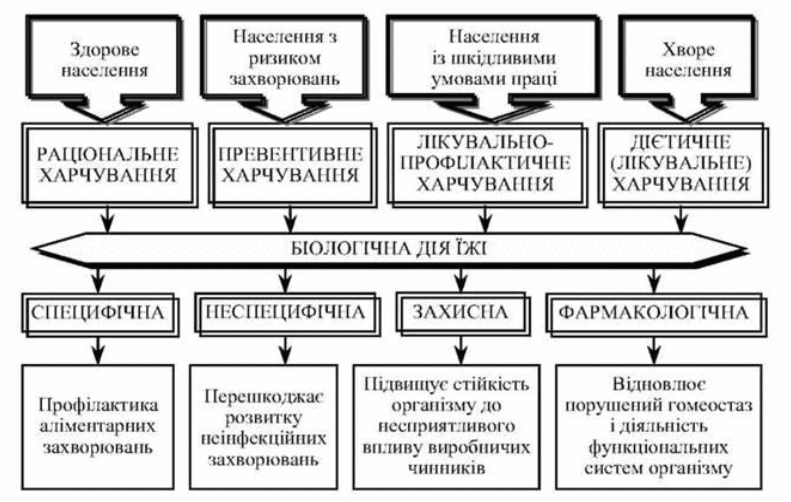 0800bus1-fd79-791x502.png