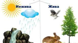 1клас Я досліджую неживу природу Ст44 Большакова