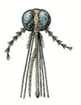 0800bxm8-f305-81x105.png