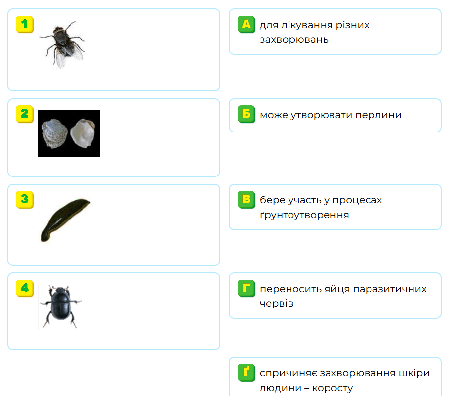 0800bxpy-8994-919x801.png