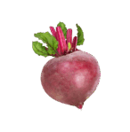 0800bzj2-88e4-146x149.png