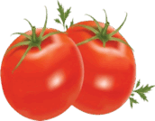 0800bzkk-09d8-172x134.png