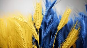 Розтяжка «Україна-єдина країна!»