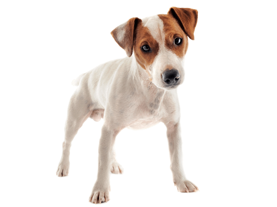 0800c0l6-818b-940x705.png