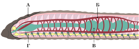 0800c0zd-4994-471x167.png