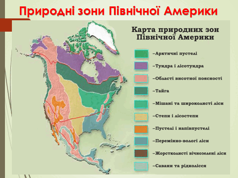 0800c114-c14a-480x360.png