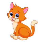 0800c13m-f046-189x176.png