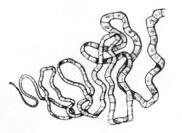 0800c186-9fa5-182x133.jpg