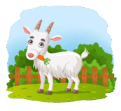 0800c1mp-6ef5-173x159.png