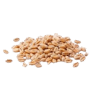 0800c2bv-0173-134x133.png