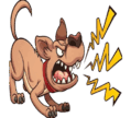 0800c2dn-d928-119x108.png