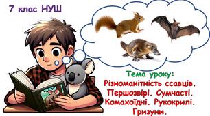 Презентація з біології "Різноманітність ссавців.  Першозвірі. Сумчасті. Комахоїдні. Рукокрилі. Гризуни." 7 клас НУШ