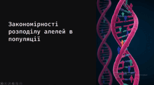 Закономірності розподілу алелей в популяції