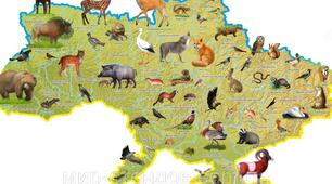 Природні умови та ресурси України