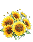 0800cfln-dee5-114x147.png