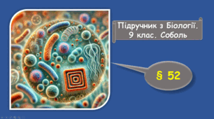 Бактерії. Археї