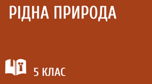 "Рідна природа". Діагностична робота з української літератури.