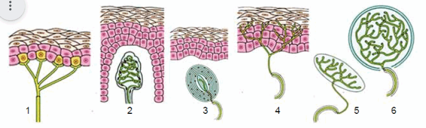 0800cggs-037d-839x252.png