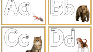 Animal Alphabet Flashcards