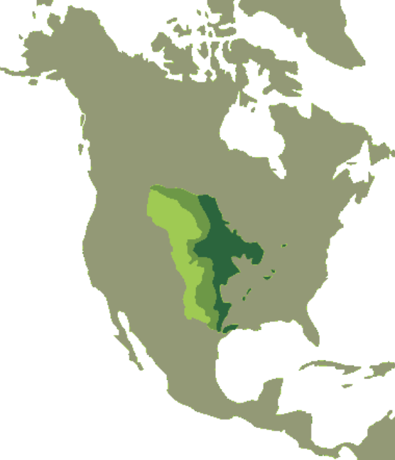 0800chqm-d17a-556x648.png