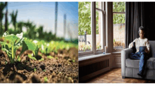 10 / From Field to Comfort p. 206