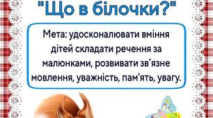 Мовленнєва вправа: "Що в білочки?"(складання речень)