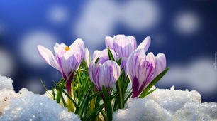Весна. Весняні місяці