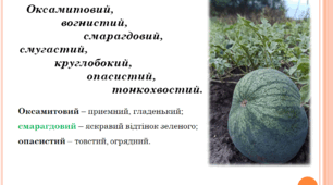 Народні загадки. Первісне та сучасне значення народних загадок. Тематика загадок. Різновиди загадок