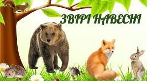 Презентація на тему: "Дикі тварини навесні"