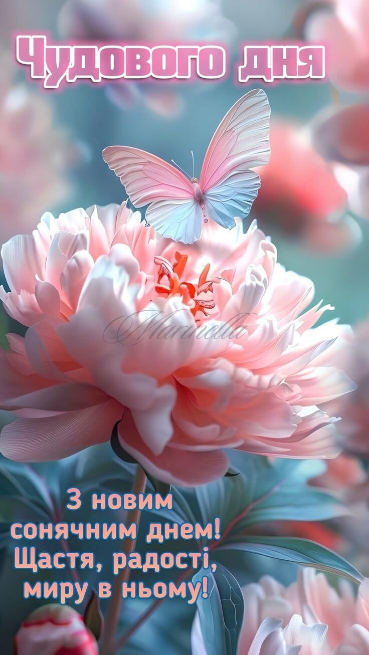 0800cnvk-293a-736x1307.jpg