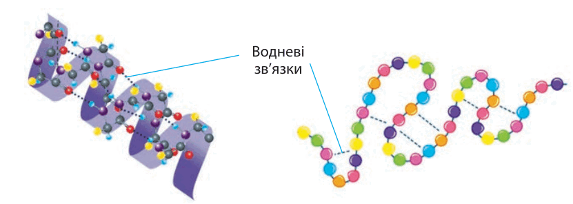0800cr27-1373-831x296.png