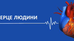 Презентація для учнів 8 класу з теми "Будова та функції серця людини"