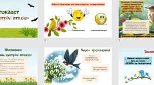 фотоквест «День зустрічі птахів"